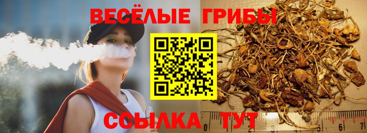 Алушта  Псилоцибиновые грибы Magic Shrooms  Вход с VPN  Галлюциногенные грибы ЛСД 